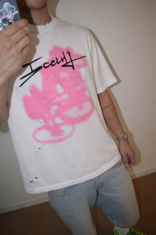 GRAPEXICE. T-SHIRT (Desstress)(01/14)